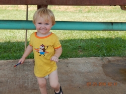 Click to view DSCN2385.JPG