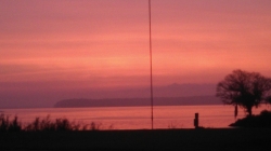 Click to view IMG_20160430_053921_275.jpg