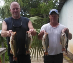 Click to view IMG_20160612_145011.jpg