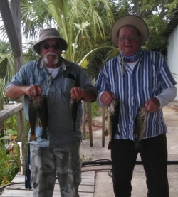 Click to view IMG_20160612_145308.jpg