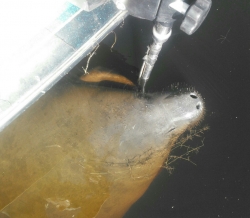 Click to view IMG_20160711_163604.jpg