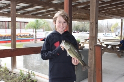 Click to view IMG_8918.JPG