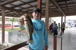 Click to view IMG_8926.JPG