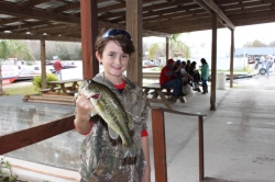 Click to view IMG_8927.JPG