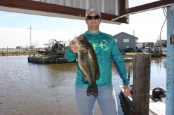 Click to view IMG_8952.JPG