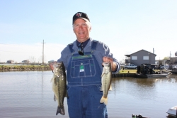 Click to view IMG_8964.JPG