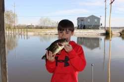 Click to view maddox.JPG