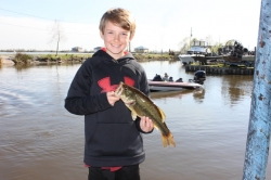 Click to view sam.JPG