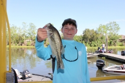 Click to view nicholoa.JPG