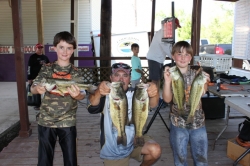 Click to view IMG_9008.JPG