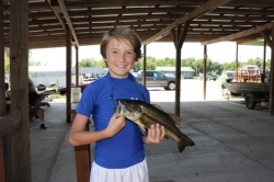 Click to view sam.JPG