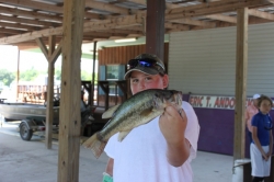 Click to view tre.JPG