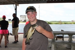 Click to view macayd.JPG