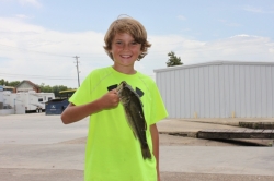 Click to view IMG_9049.JPG