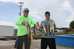 Click to view IMG_9051.JPG