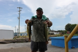 Click to view IMG_9056.JPG