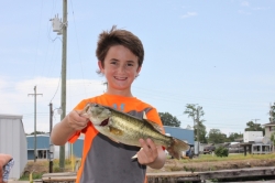 Click to view IMG_9062.JPG