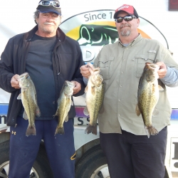 Click to view DSCN1810.JPG