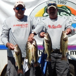 Click to view DSCN2203.JPG