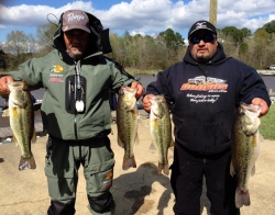 Click to view 555.jpg