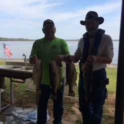 Click to view IMG_1184.JPG