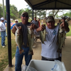 Click to view IMG_1189.JPG