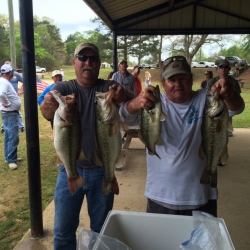 Click to view IMG_1190.JPG