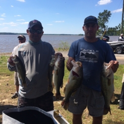 Click to view IMG_1221.JPG