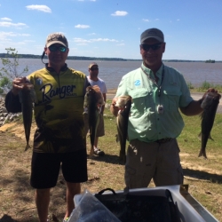 Click to view IMG_1223.JPG