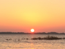 Click to view IMG_1577.JPG