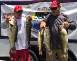 Click to view IMG_1774.JPG