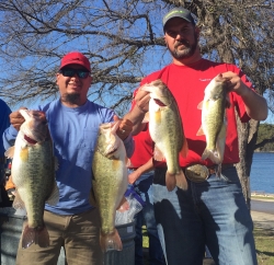 Click to view IMG_0214.JPG