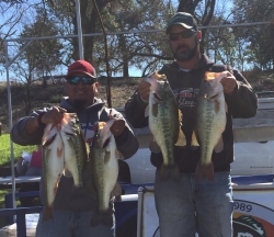 Click to view IMG_1631.JPG