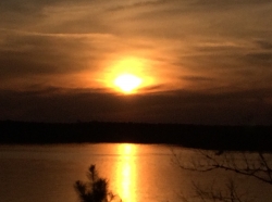 Click to view IMG_1441.JPG