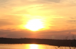 Click to view IMG_1442.JPG