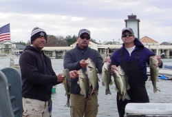 Click to view DSC00246.JPG