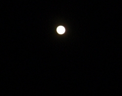 Click to view DSC00001.JPG