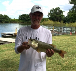 Click to view IMG_1745.JPG