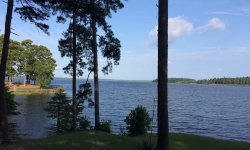 Click to view IMG_1804.JPG