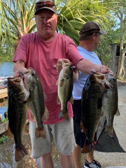 Click to view IMG_4527.jpg