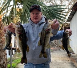 Click to view IMG_4074.jpg