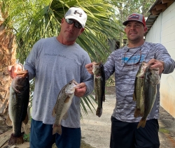 Click to view IMG_4574.jpg