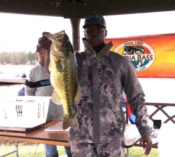 Click to view CDEF.jpg