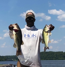 Click to view LMN.jpg