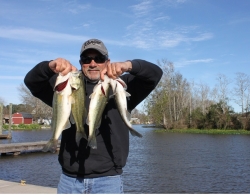 Click to view IMG_0436.JPG