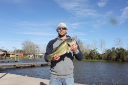 Click to view IMG_0439.JPG