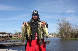 Click to view IMG_0442.JPG