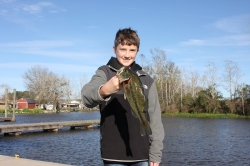 Click to view Sam.JPG