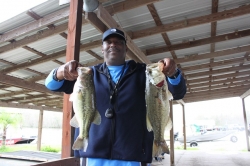 Click to view IMG_0517.JPG