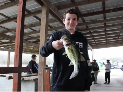 Click to view Sam.JPG